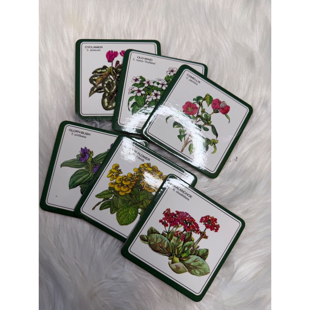 Vintage - Floral Botanical Illustration Coasters - Set of 6